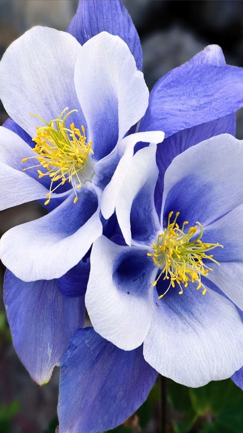 深刻走心的朋友圈說說,精辟有內涵,值得細細品讀