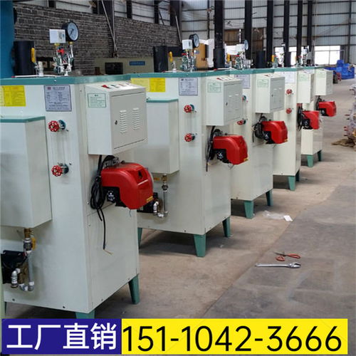 2021歡迎訪問 山東省濱州市全自動燃油蒸汽發(fā)生器 股份集團(tuán)