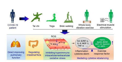 運(yùn)動(dòng)醫(yī)學(xué)與健康科學(xué) 2021年第4期導(dǎo)讀